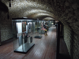 Miaomiao in the Gothic Cellar of Vyehrad