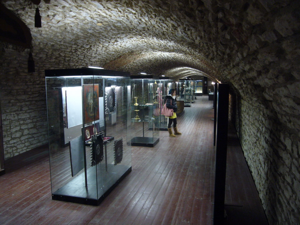 Miaomiao in the Gothic Cellar of Vyehrad