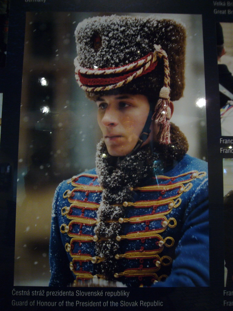 Photograph of a guard in the Powder Tower