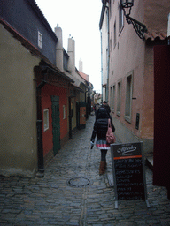 Miaomiao in the Golden Lane