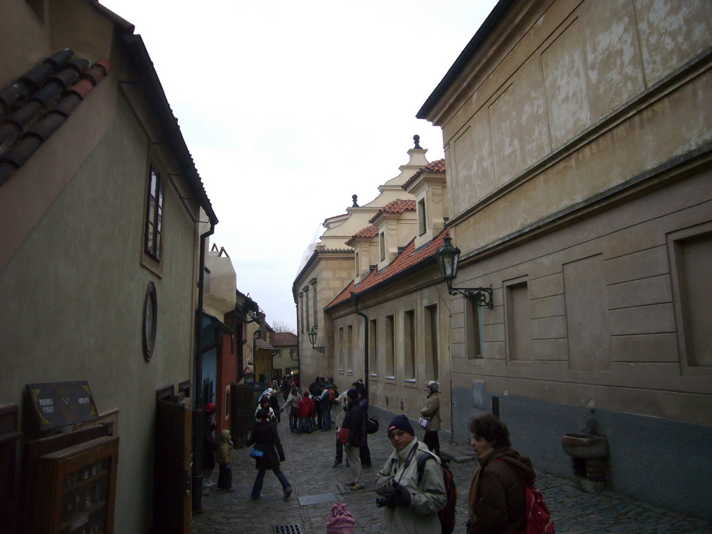 The Golden Lane