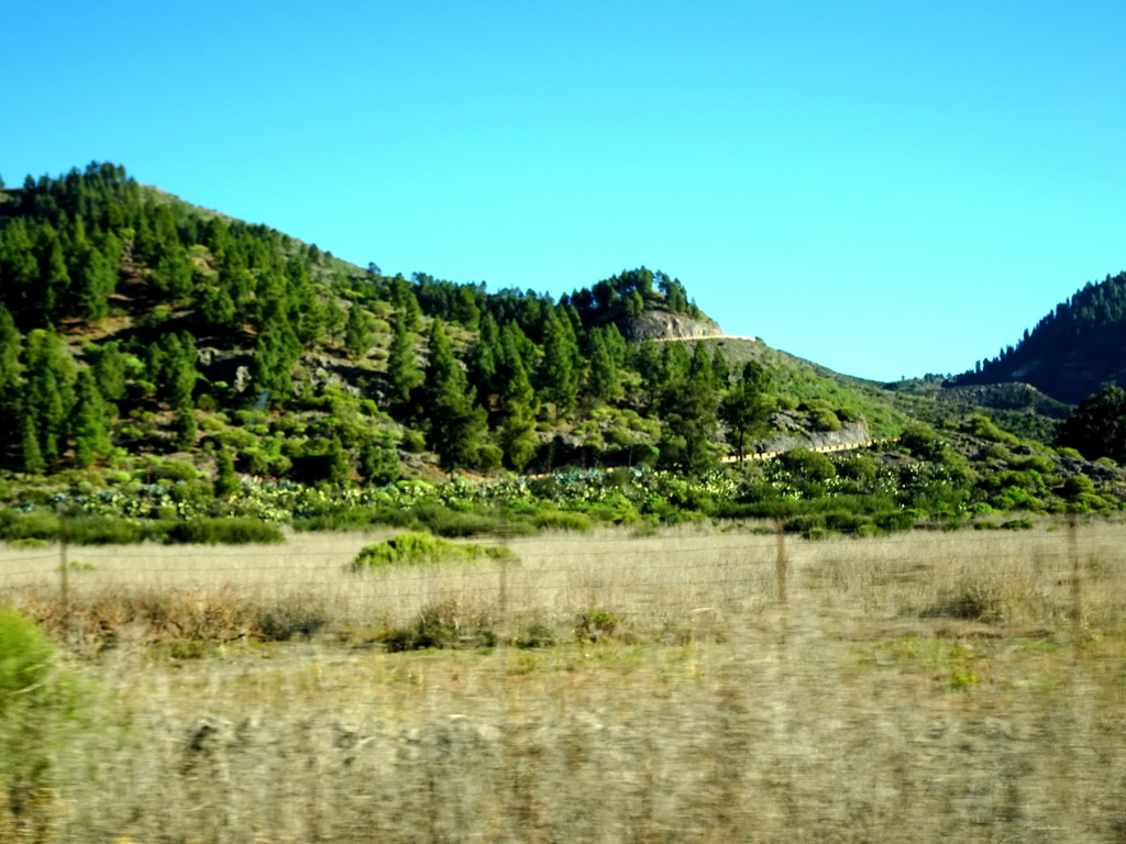 Hills just north of the town of Santiago del Teide, viewed from the rental car on the TF-82 road