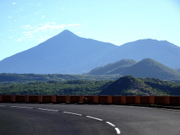 Fox on the TF-82 road just north of the town of Santiago del Teide, with a view on Mount Teide and the Pico Viejo peak