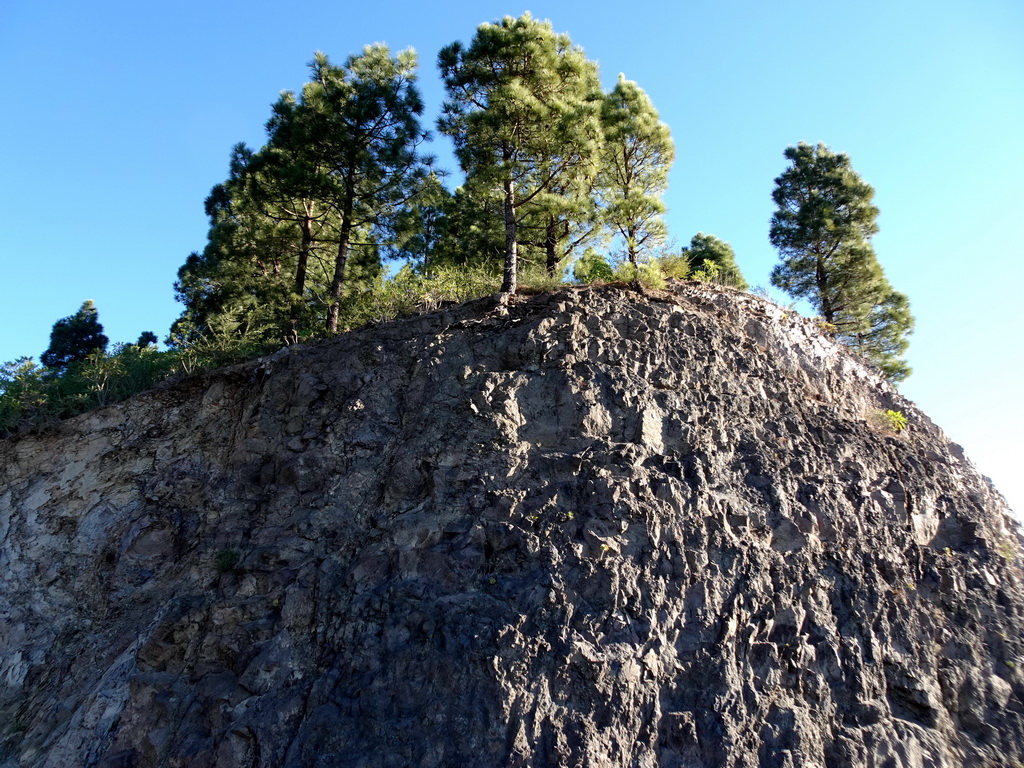 Rock with trees, viewed from a parking place along the TF-82 road just north of the town of Santiago del Teide