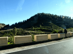 Hills and trees just southeast the town of Erjos de el Tanque, viewed from the rental car on TF-373 road