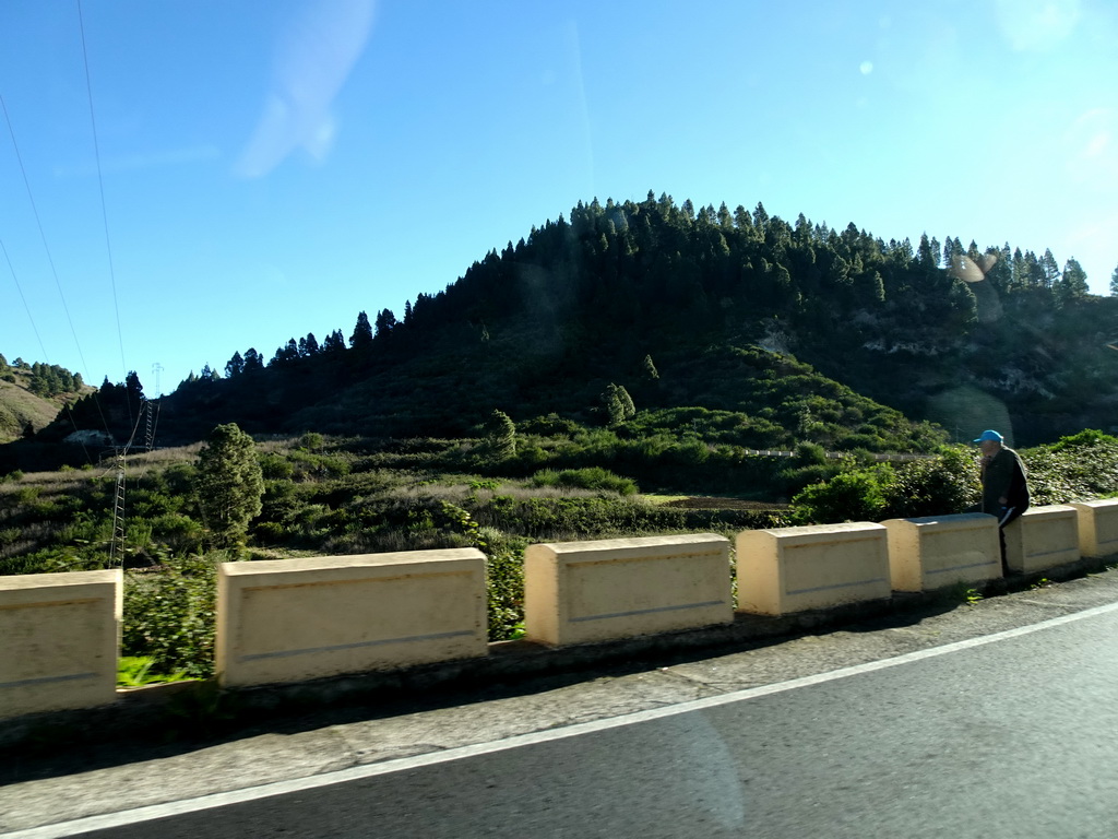 Hills and trees just southeast the town of Erjos de el Tanque, viewed from the rental car on TF-373 road