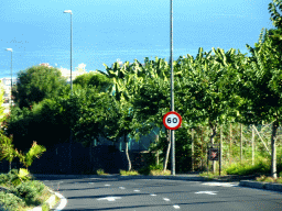 The TF-316 road on the east side of the town of Los Realejos, viewed from the rental car