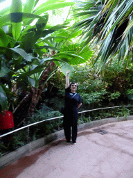 Miaomiao with a tree on the path to the Animal Embassy at the Loro Parque zoo, during the Discovery Tour