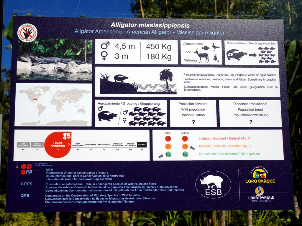 Information on the American Alligator at the Loro Parque zoo, during the Discovery Tour