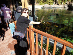 Miaomiao and Max with American Alligators, Turtles and fish at the Loro Parque zoo, during the Discovery Tour