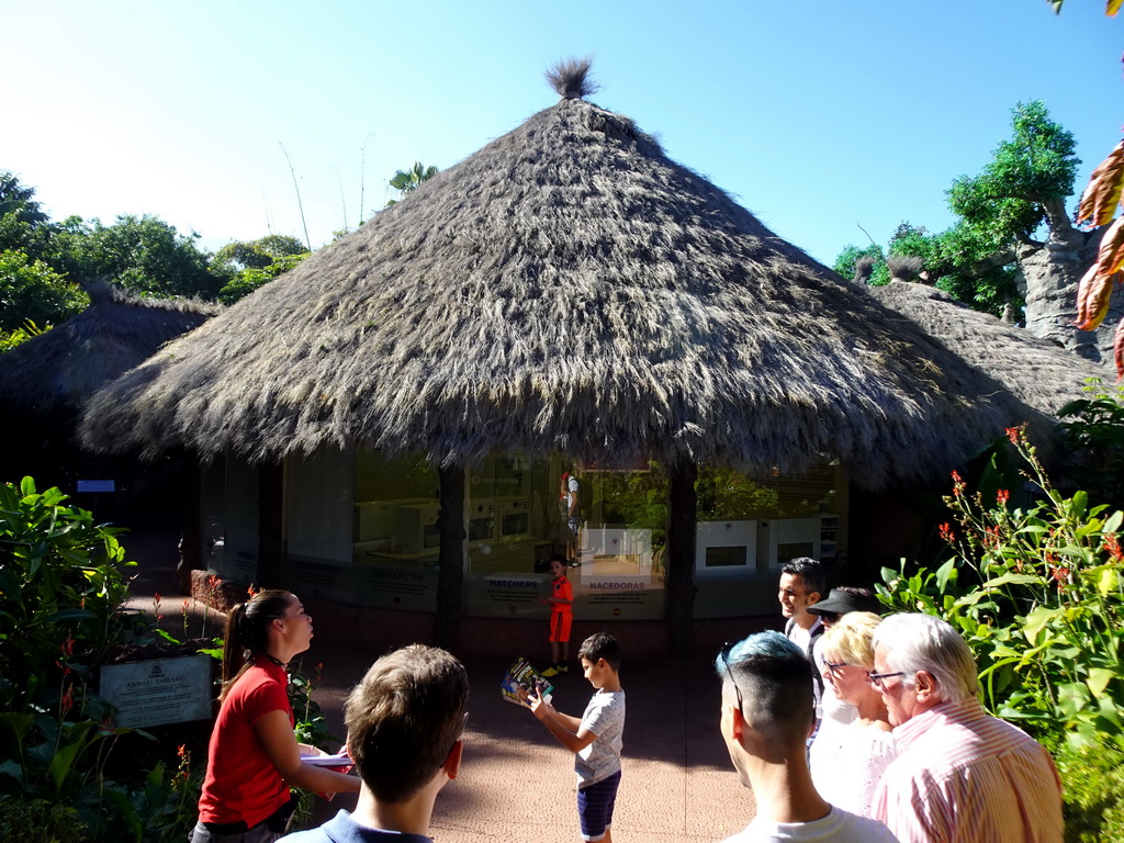 Our Discovery Tour guide in front of the Animal Embassy at the Loro Parque zoo, during the Discovery Tour
