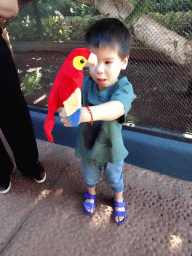 Max with a parrot toy at the Kindergarten at the Animal Embassy at the Loro Parque zoo, during the Discovery Tour