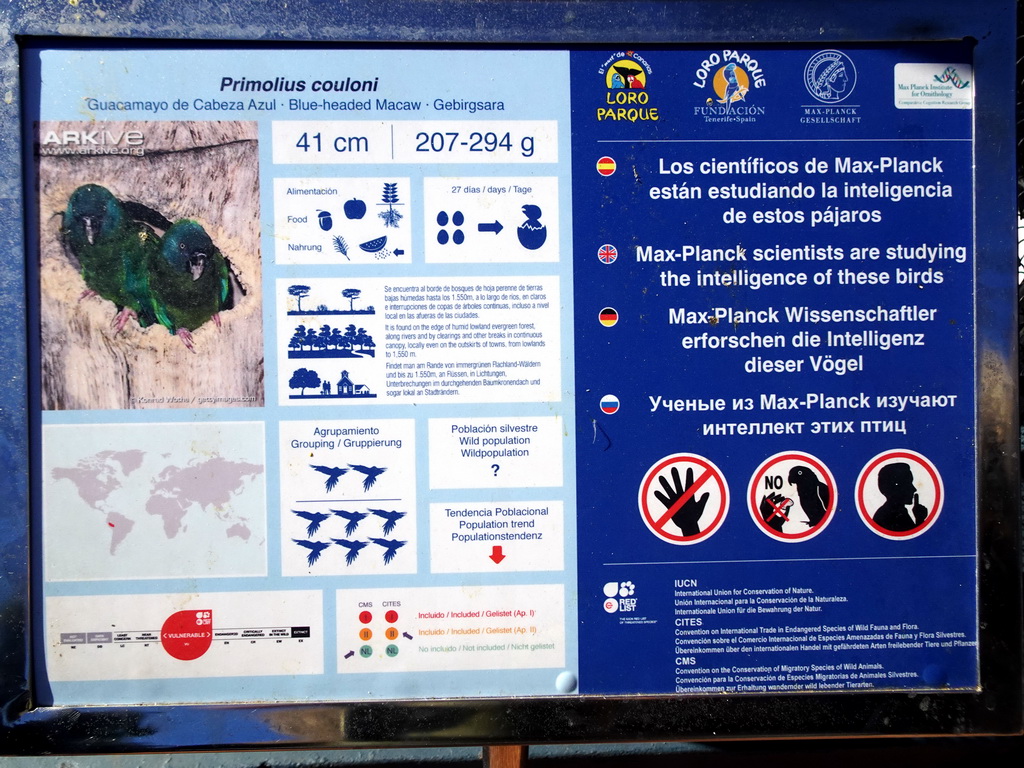 Information on the Blue-headed Macaw at the Animal Embassy at the Loro Parque zoo, during the Discovery Tour