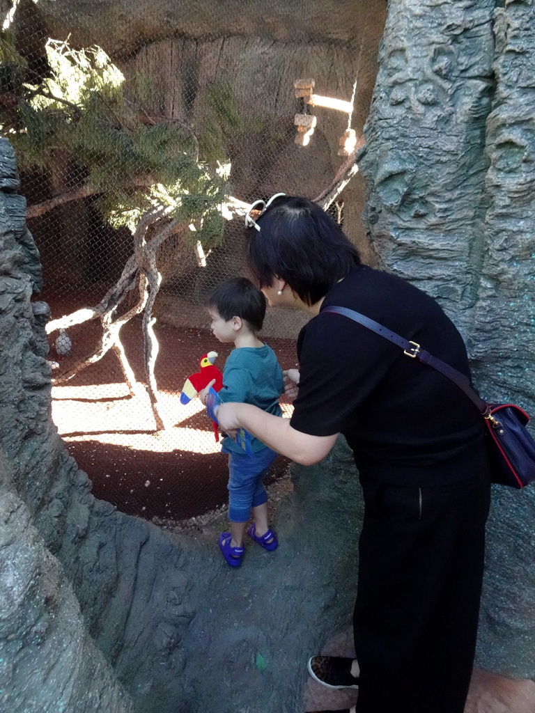 Miaomiao and Max with a parrot toy at the Animal Embassy at the Loro Parque zoo, during the Discovery Tour