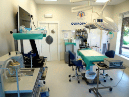 Interior of the Operating Theater at the Animal Embassy at the Loro Parque zoo, during the Discovery Tour