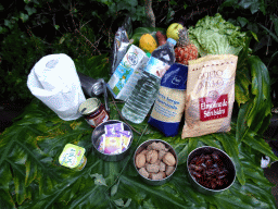 Food for the Gorillas at the Gorilla enclosure at the Loro Parque zoo, during the Discovery Tour