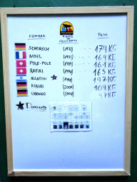 Information on the Gorillas at the Gorilla enclosure at the Loro Parque zoo, during the Discovery Tour