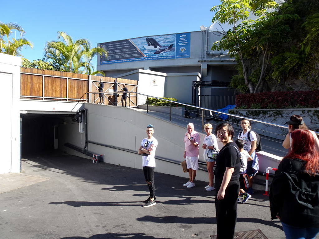 Miaomiao at the entrance to the Orca enclosure at the Loro Parque zoo, during the Discovery Tour