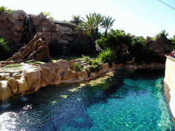 The Tiger Island at the Loro Parque zoo