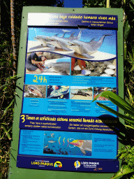 Information on the Dolphins at the Loro Parque zoo