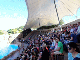 Interior of the Dolphinarium at the Loro Parque zoo, just before the Dolphin show