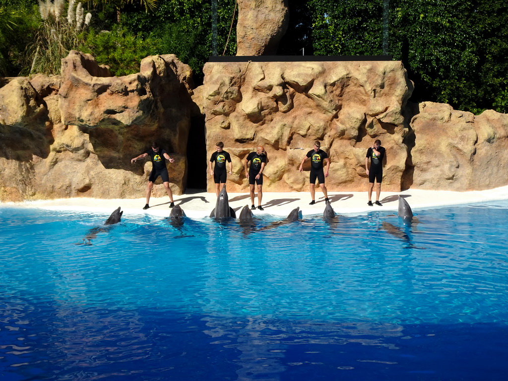 Zookeepers and Dolphins at the Dolphinarium at the Loro Parque zoo, during the Dolphin show