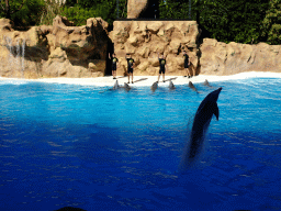 Zookeepers and Dolphins at the Dolphinarium at the Loro Parque zoo, during the Dolphin show