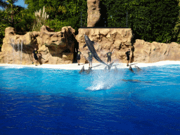 Zookeepers and Dolphins at the Dolphinarium at the Loro Parque zoo, during the Dolphin show