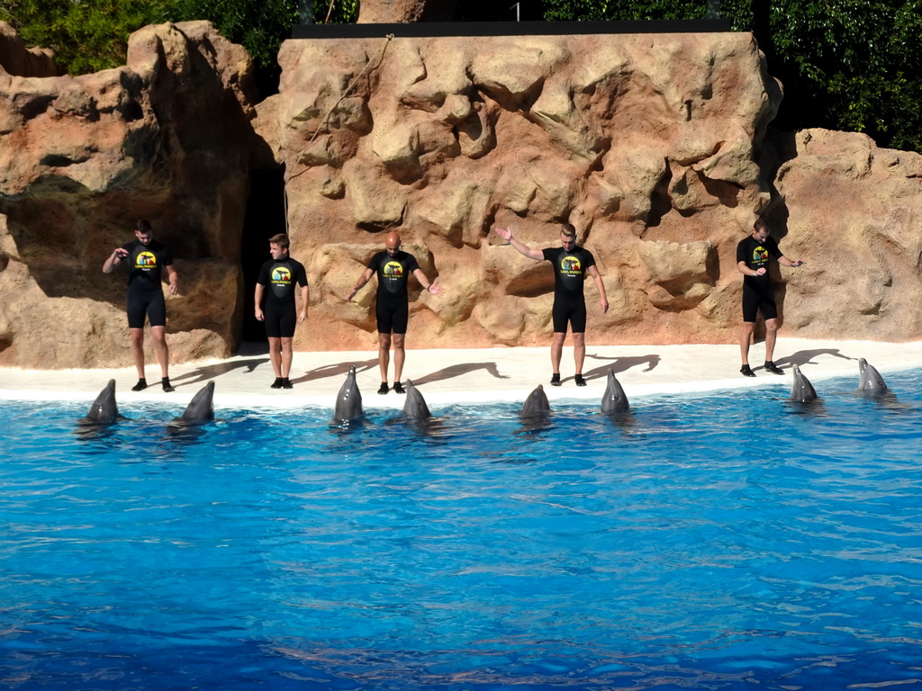 Zookeepers and Dolphins at the Dolphinarium at the Loro Parque zoo, during the Dolphin show