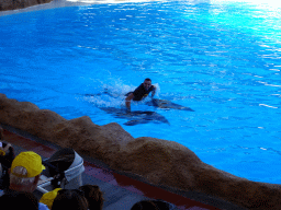 Zookeeper and Dolphins at the Dolphinarium at the Loro Parque zoo, during the Dolphin show