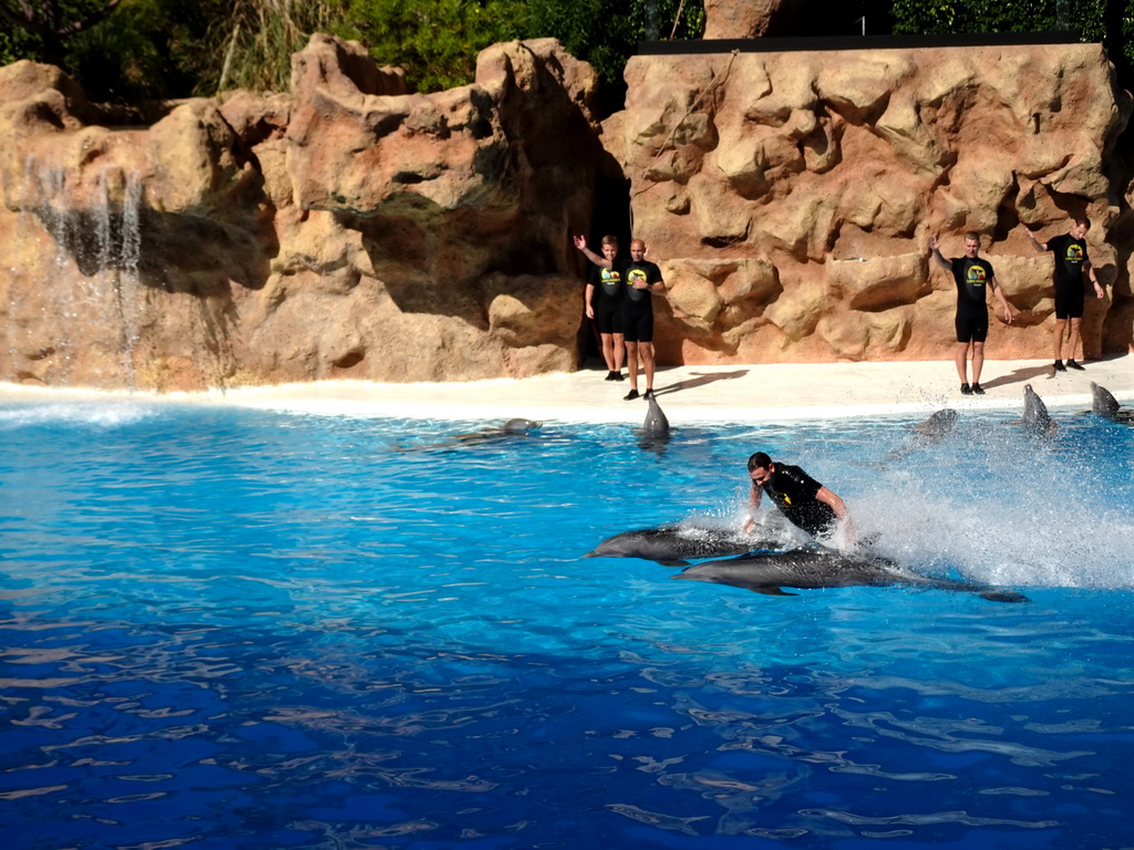 Zookeepers and Dolphins at the Dolphinarium at the Loro Parque zoo, during the Dolphin show