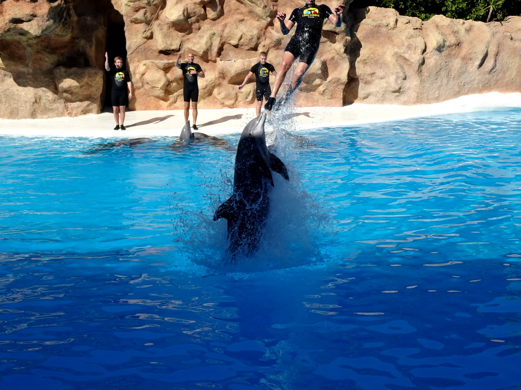 Zookeepers and Dolphins at the Dolphinarium at the Loro Parque zoo, during the Dolphin show