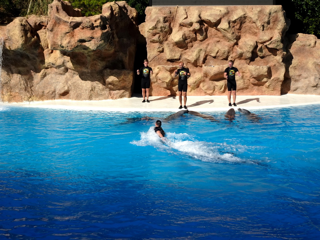 Zookeepers and Dolphins at the Dolphinarium at the Loro Parque zoo, during the Dolphin show