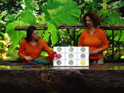 Zookeepers and a Scarlet Macaw at the Loro Show building at the Loro Parque zoo, during the Loro Show