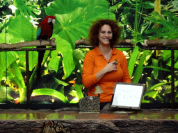 Zookeeper and a Scarlet Macaw at the Loro Show building at the Loro Parque zoo, during the Loro Show