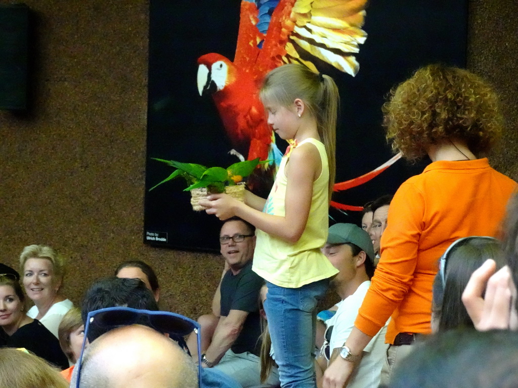 Zookeeper and Parrots at the Loro Show building at the Loro Parque zoo, during the Loro Show