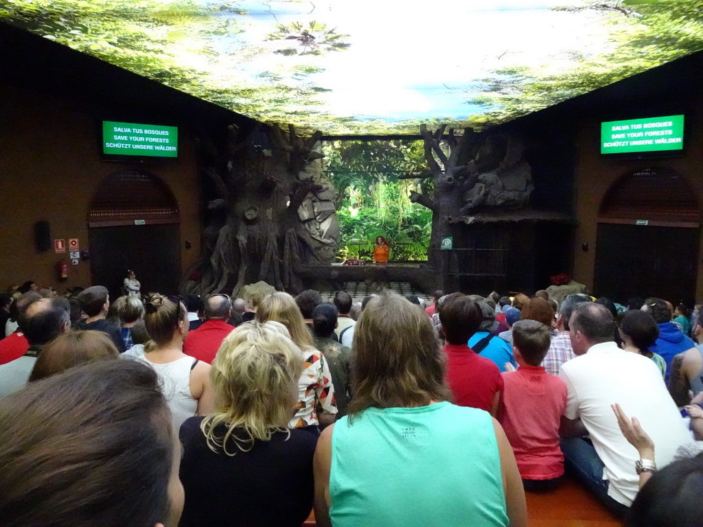 Zookeeper and a Scarlet Macaw at the Loro Show building at the Loro Parque zoo, during the Loro Show