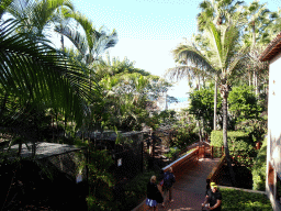 Birdcages and trees at the Loro Parque zoo, viewed from a bridge at the Gambian Market