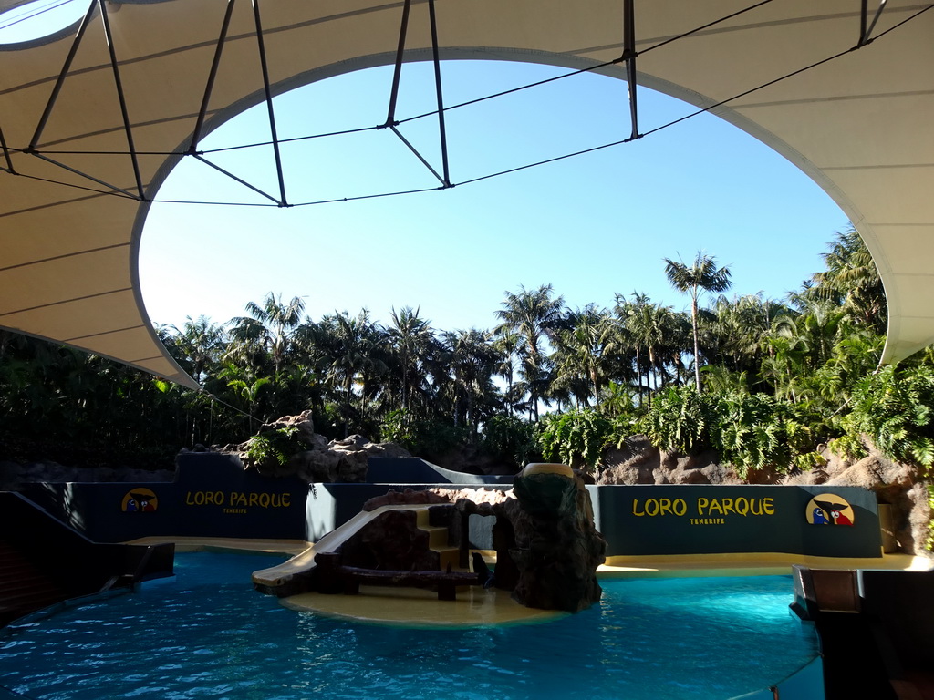 Interior of the Sea Lion Theatre at the Loro Parque zoo, just before the Sea Lion show