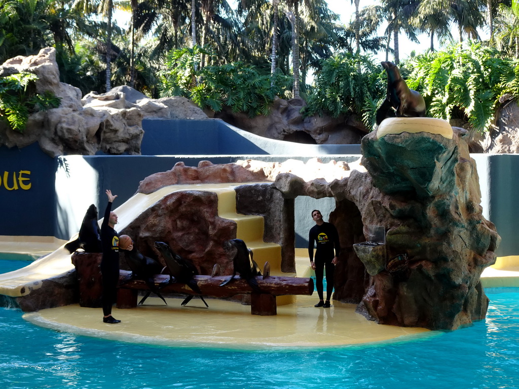 Zookeepers and Sea Lions at the Sea Lion Theatre at the Loro Parque zoo, during the Sea Lion show