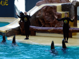 Zookeepers and Sea Lions at the Sea Lion Theatre at the Loro Parque zoo, during the Sea Lion show