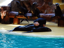 Zookeeper and Sea Lions at the Sea Lion Theatre at the Loro Parque zoo, during the Sea Lion show