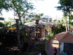 Birdcages at the Loro Parque zoo