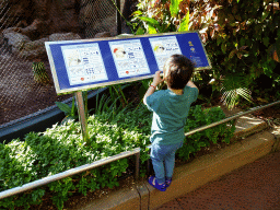 Max looking at information on Cockatoos at the Loro Parque zoo