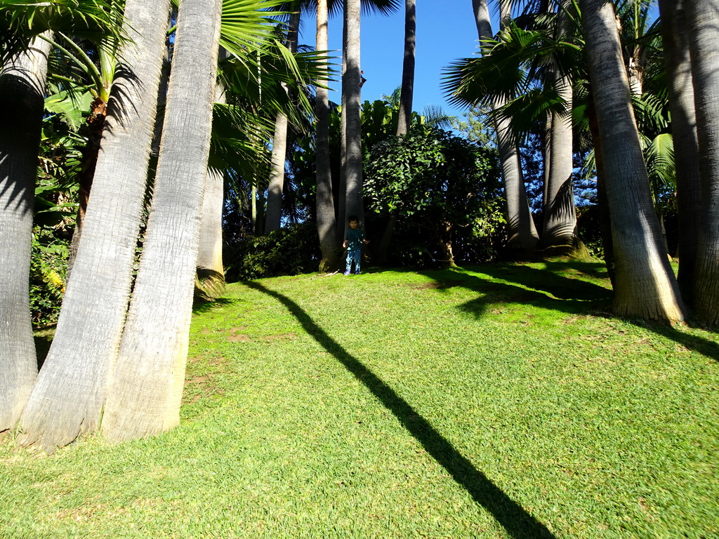 Max on a grassland at the Loro Parque zoo