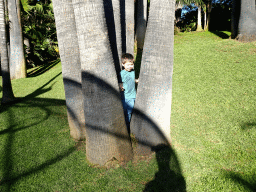 Max inbetween trees on a grassland at the Loro Parque zoo