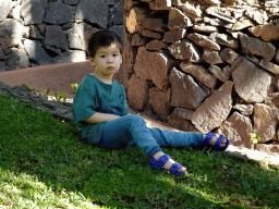 Max on a grassland at the Loro Parque zoo