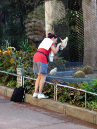 Woman talking to Parrots at the Loro Parque zoo