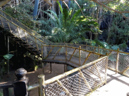 Bridge and staircase at the Katandra Treetops at the Loro Parque zoo