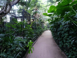 Path with birdcages at the Loro Parque zoo